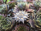Lotus Light Of Truth Sacred Geometry Hat Pin